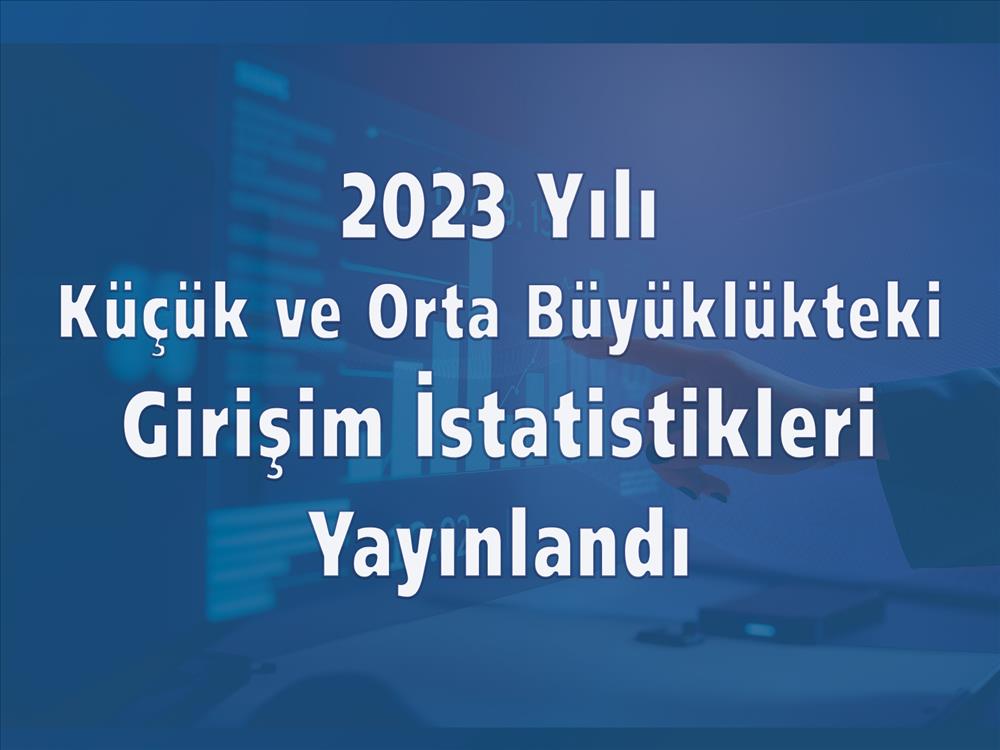 Küçük ve Orta Büyüklükteki Girişim İstatistikleri, 2023