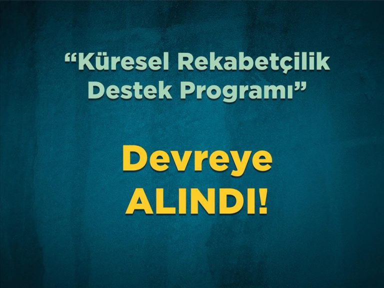 Küresel Rekabetçilik Destek Programı: İşletmeler İçin Uluslararası Başarı Fırsatı